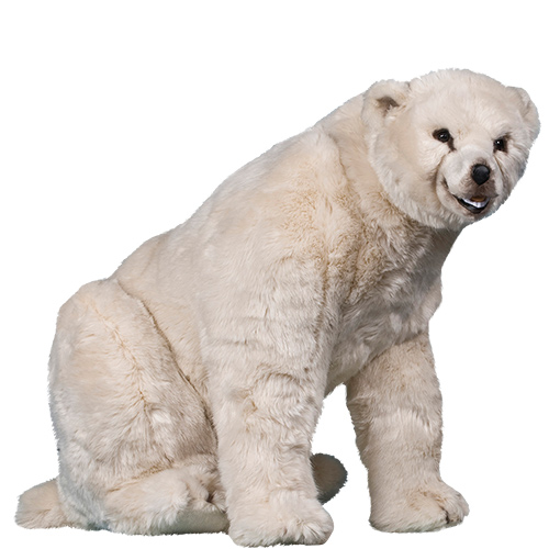 Naturtrogen isbjörn