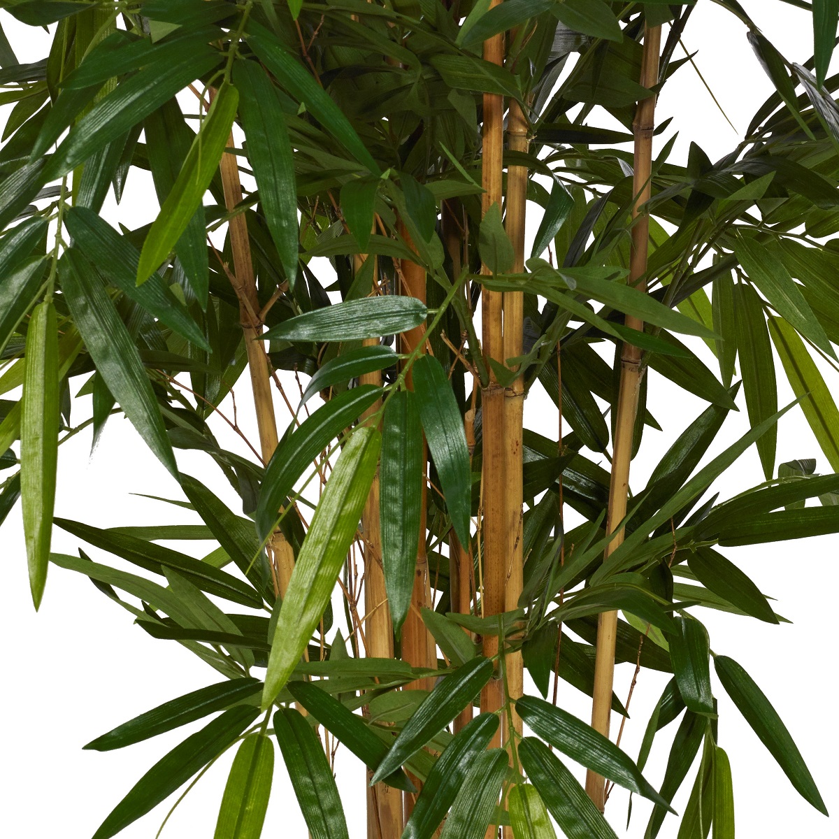Bambubuske