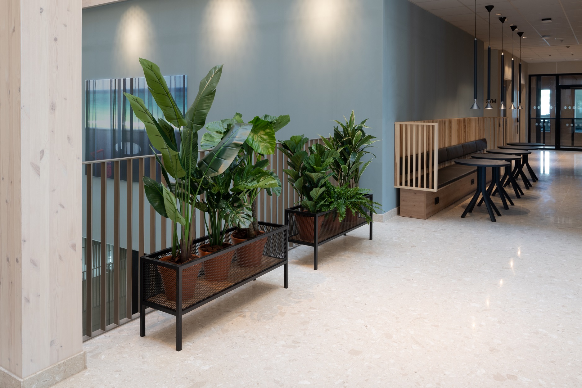 Konstgjorda växter Comfort hotell