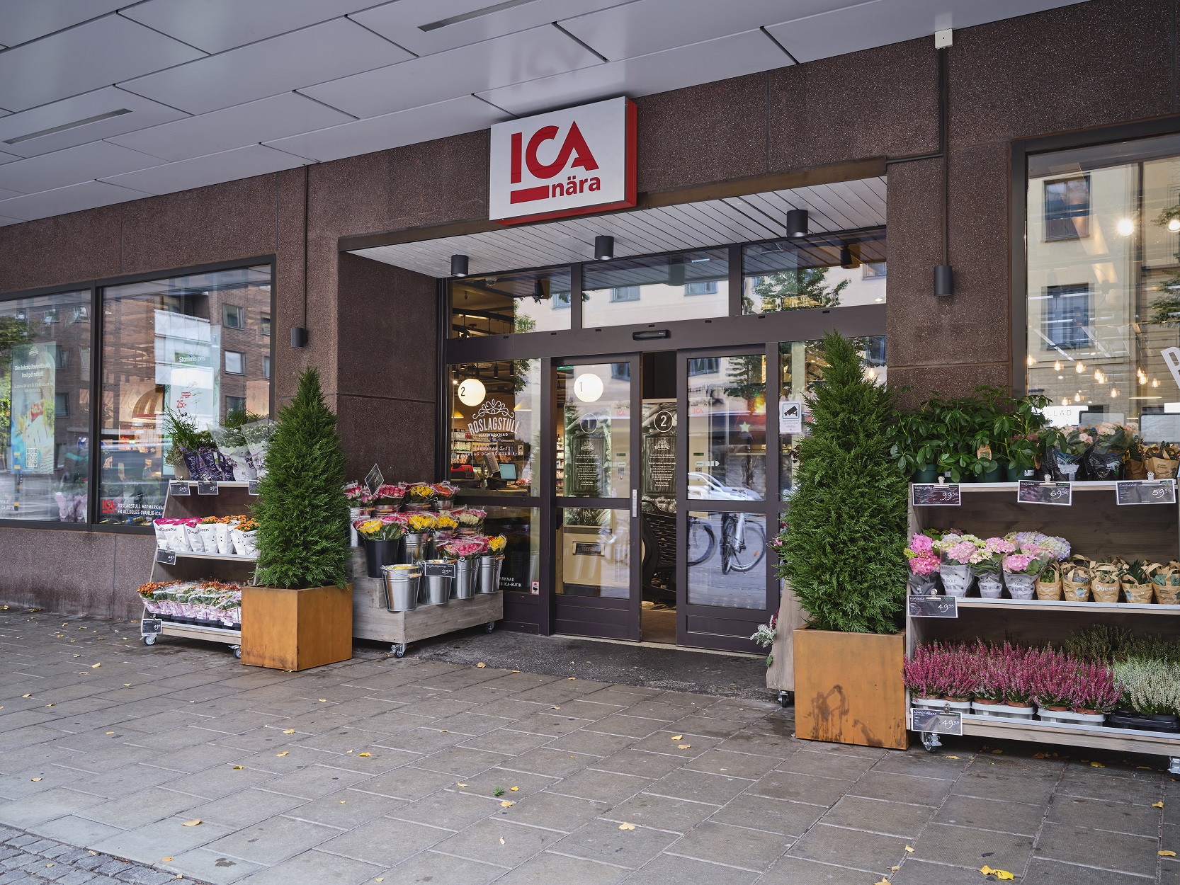 Konstgjorda cypresser med naturligt utseende.