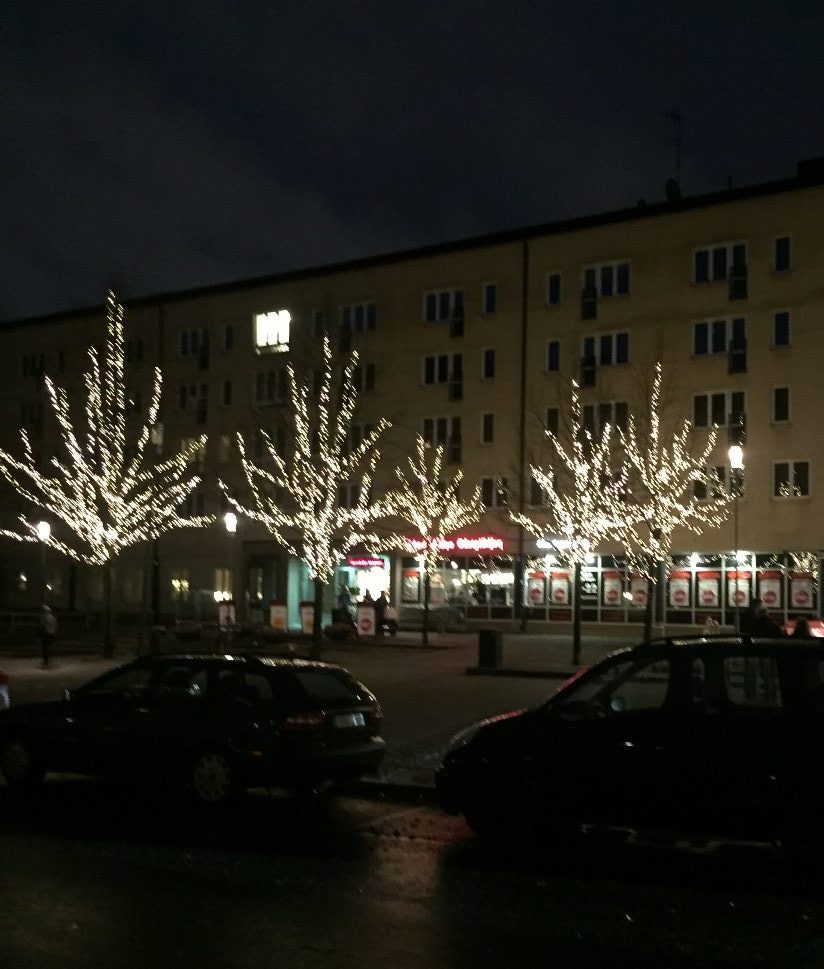 En grupp med ljusträd på ett torg