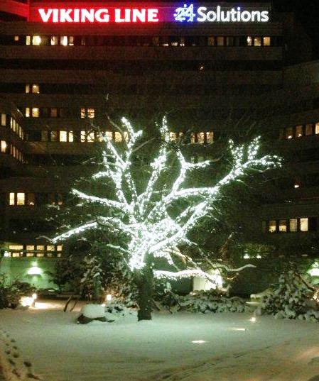 Ljusslingor med leds på ett stort träd