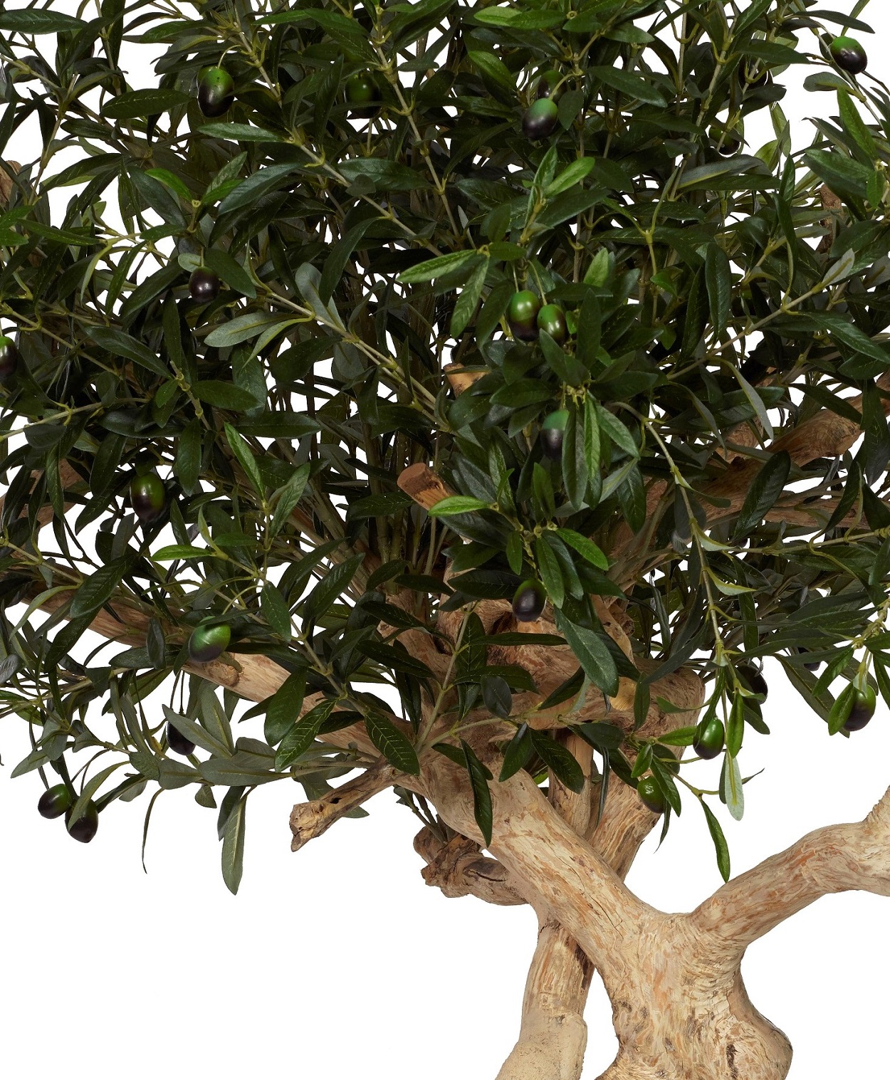 Olivträd handgjort, Olive Crown