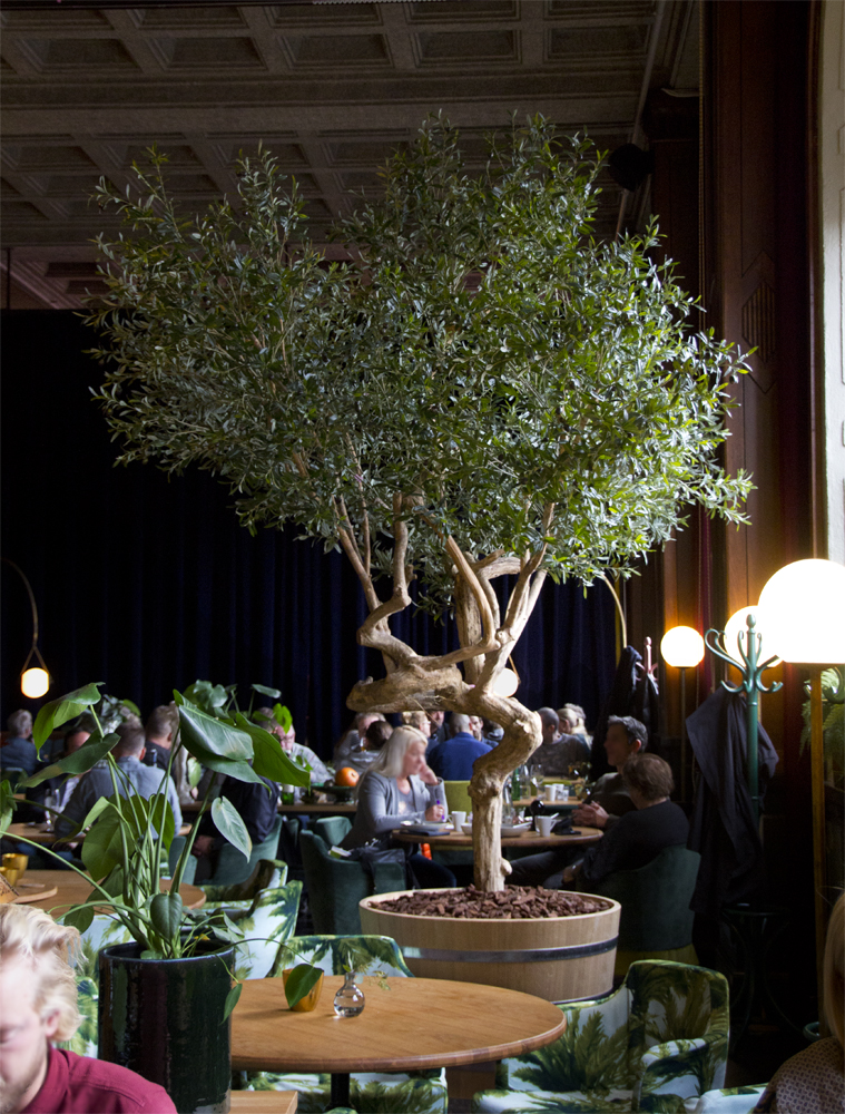 Handgjort olivträd med äkta stam