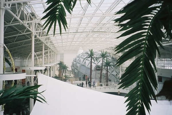 Stora konstgjorda palmer. Specialbyggda för IKEA Mega Mall, Moskva