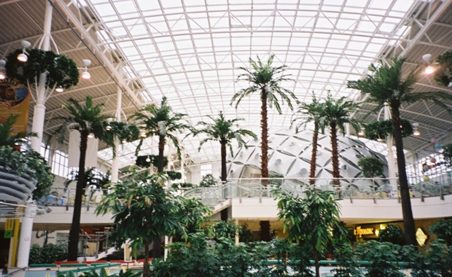 Konstgjorda palmer upp till 14 meter höga. Specialbyggda för IKEA Mega Mall, Moskva.
