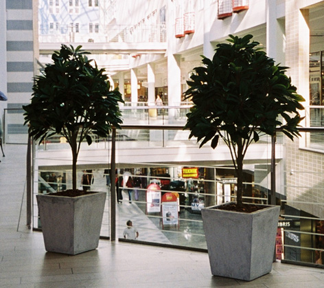 Konstgjorda växter i betongkrukor i Täby Centrum.