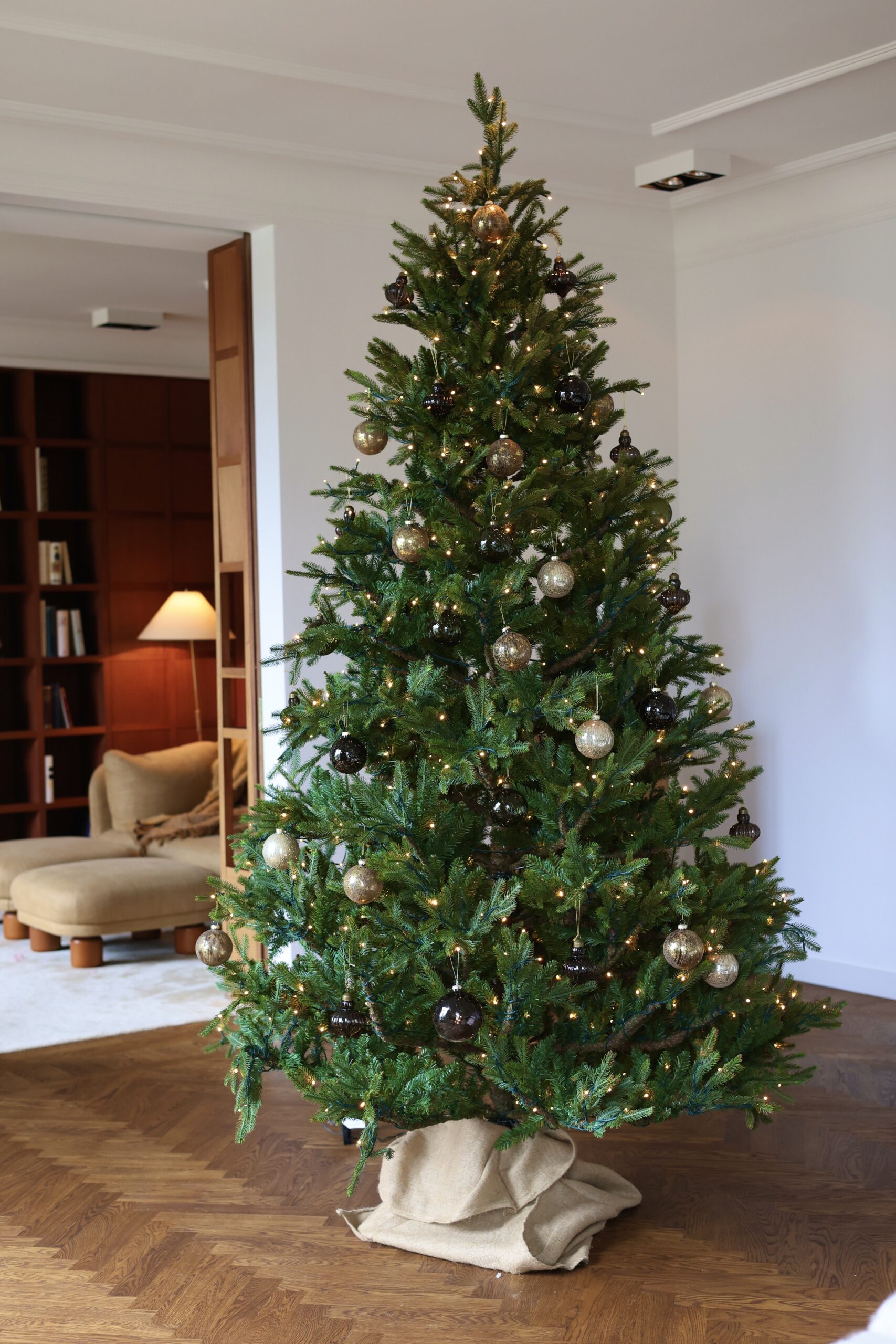 Frasier gran med LED’s