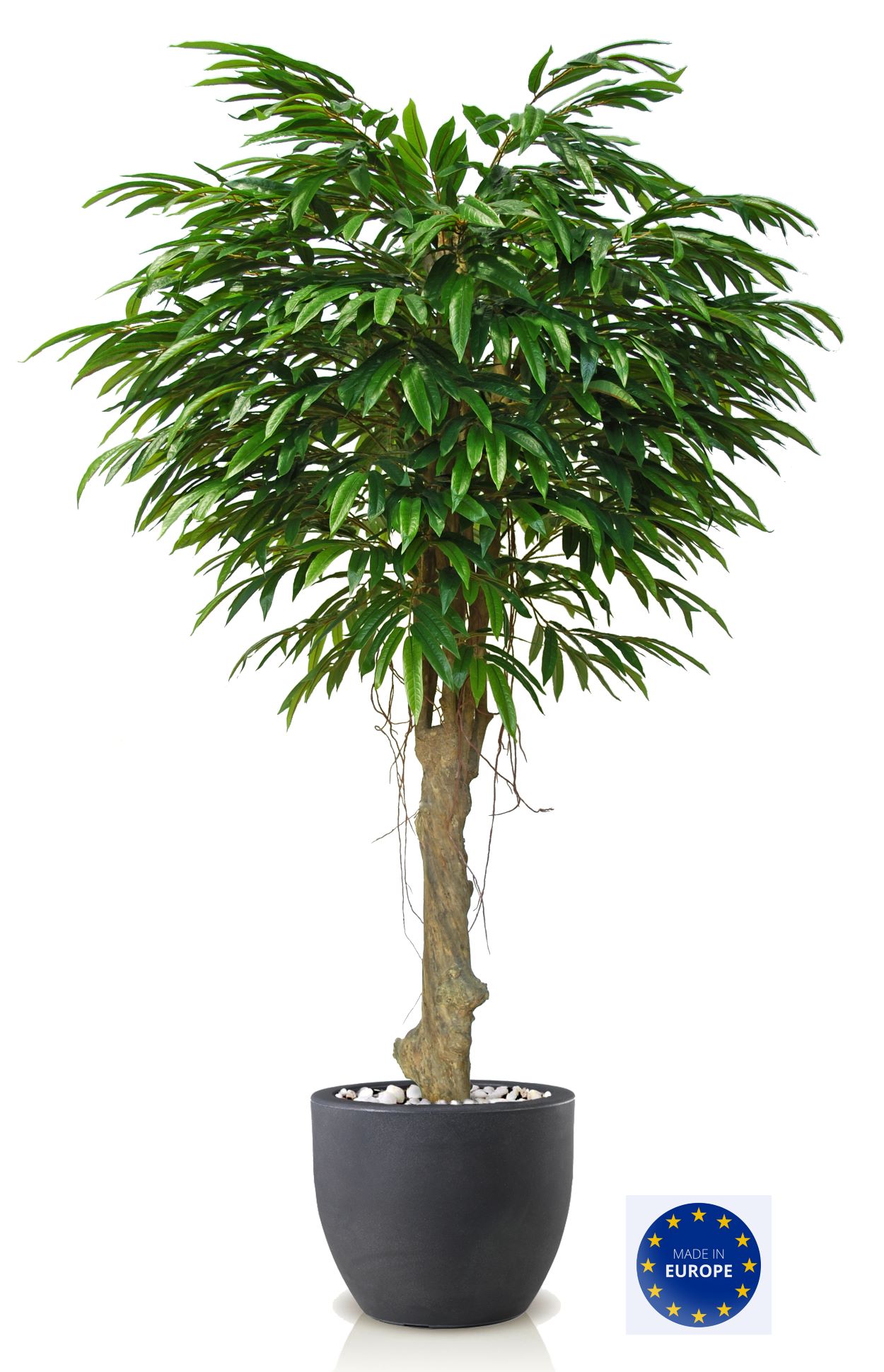 Longifolia träd, handgjort