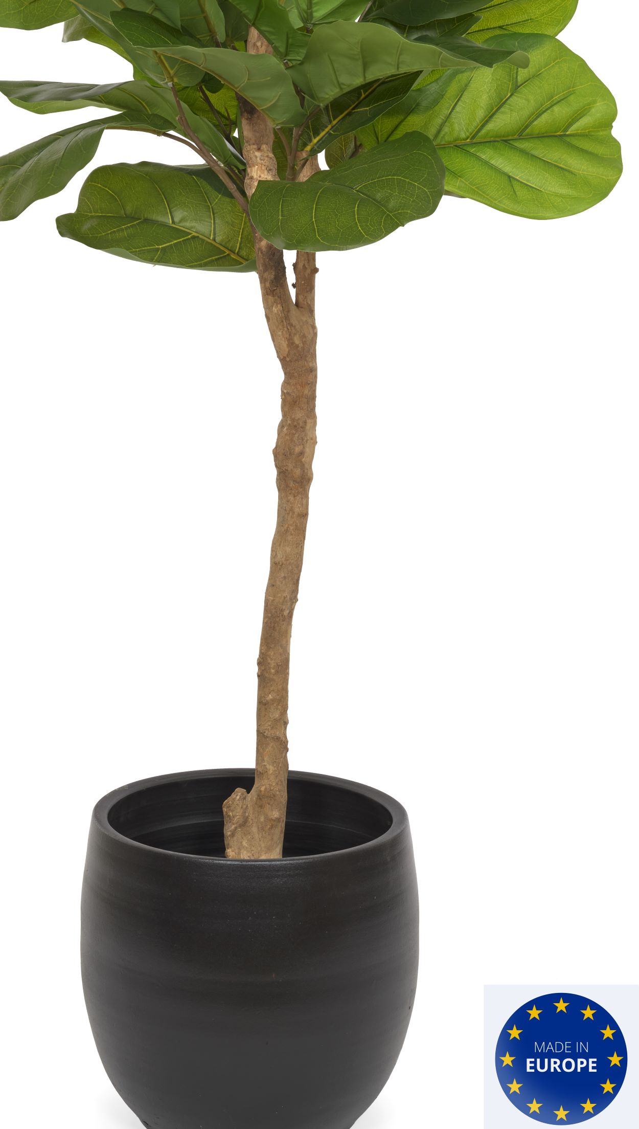 Konstgjord fiolfikus på stam – Ficus Lyrata Wild Topiary