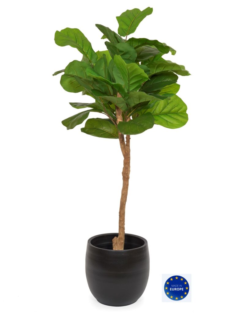 Konstgjord fiolfikus på stam – Ficus Lyrata Wild Topiary