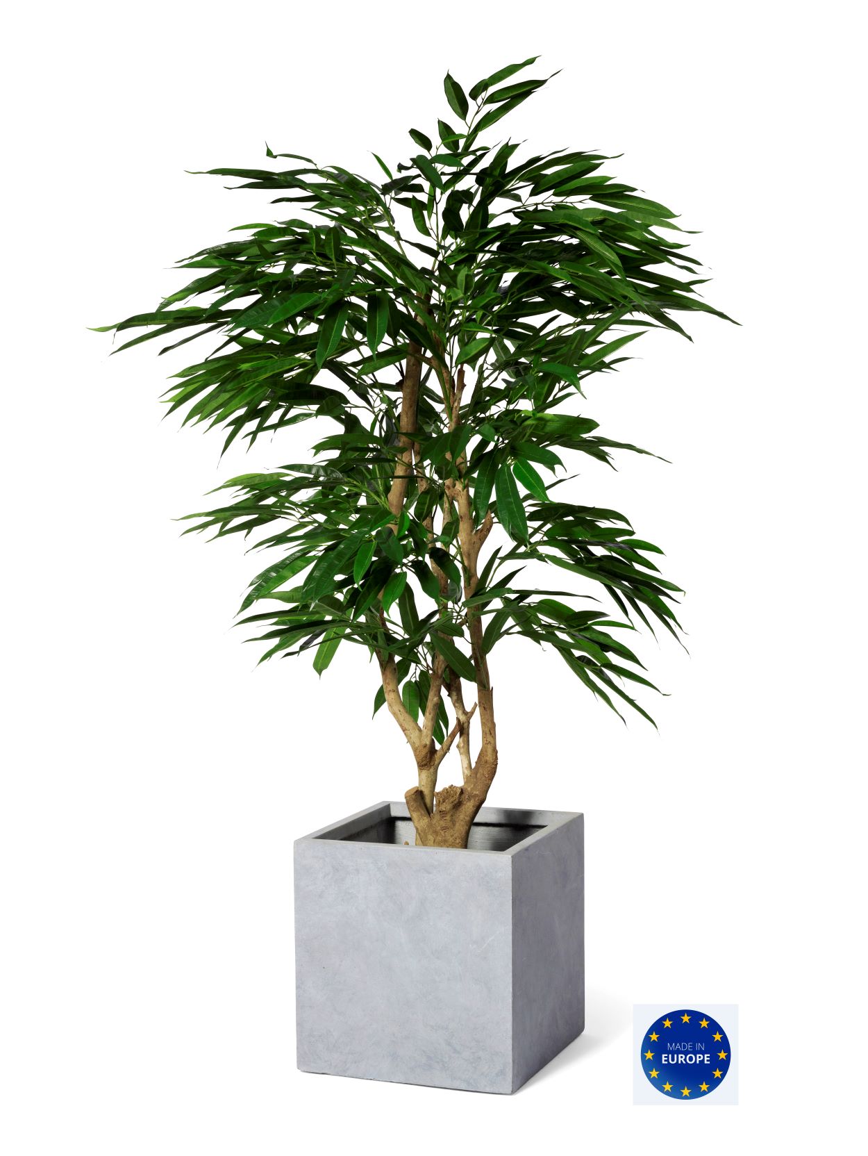 Longifolia Malabar, handgjord växt